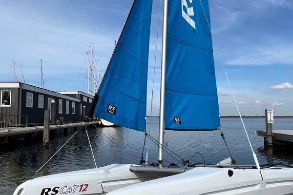 RS CAT 12 new.jpg 