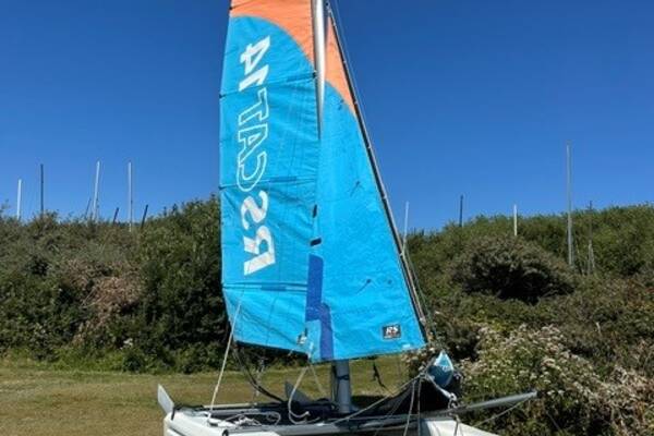 RS Cat 14 Swinnen 1.jpg 