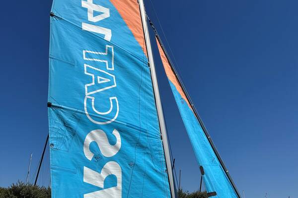 RS Cat 14 Swinnen 2.jpg 