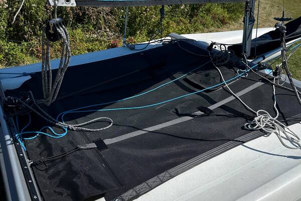 RS Cat 14 Swinnen 3.jpg 